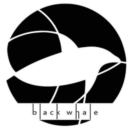 BLACK WHALE logo