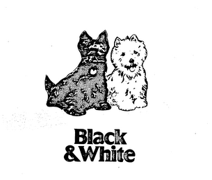BLACK & WHITE logo