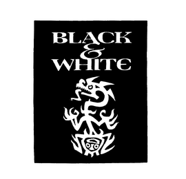 BLACK & WHITE logo