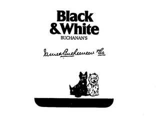 BLACK & WHITE BUCHANAN'S JAMES BUCHANAN CO logo