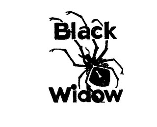 BLACK WIDOW logo