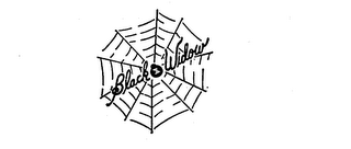 BLACK WIDOW logo