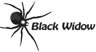 BLACK WIDOW logo