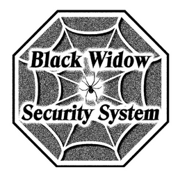 BLACK WIDOW SECURITY SYSTEM logo