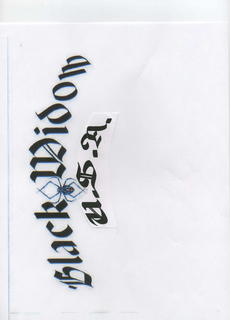 BLACK WIDOW U.S.A. logo