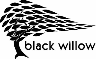 BLACK WILLOW logo