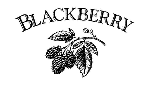 BLACKBERRY logo