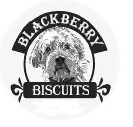 BLACKBERRY BISCUITS logo