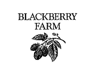 BLACKBERRY FARM logo