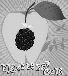 BLACKBERRY GOLD logo