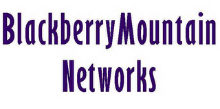 BLACKBERRYMOUNTAIN NETWORKS logo