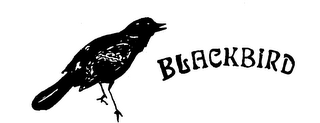 BLACKBIRD logo