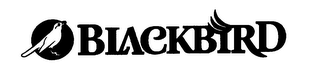 BLACKBIRD logo