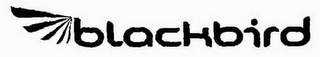 BLACKBIRD logo