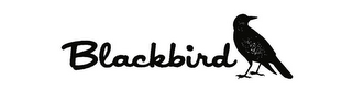 BLACKBIRD logo