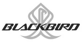 BLACKBIRD logo