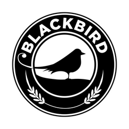 BLACKBIRD logo