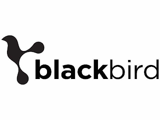 BLACKBIRD logo