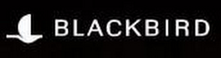 BLACKBIRD logo