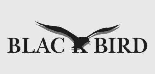 BLACKBIRD logo