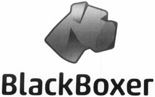 BLACKBOXER logo