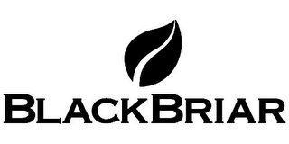 BLACKBRIAR logo