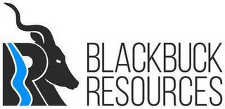 BLACKBUCK RESOURCES logo