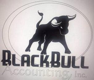 BLACKBULL ACCOUNTING, INC. logo
