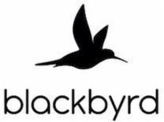 BLACKBYRD logo