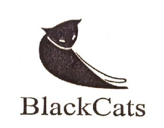 BLACKCATS logo