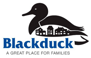 BLACKDUCK A GREAT PLACE FOR FAMILIES logo