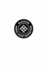 BLACKFIN AERIAL ROOF INSPECTION logo