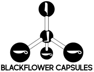 BLACKFLOWER CAPSULES logo