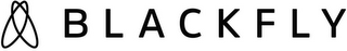 BLACKFLY logo