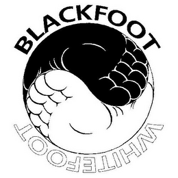 BLACKFOOT WHITEFOOT logo
