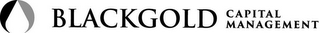 BLACKGOLD CAPITAL MANAGEMENT logo