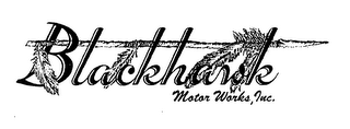 BLACKHAWK MOTOR WORKS, INC.