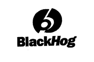 BLACKHOG logo