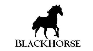 BLACKHORSE logo