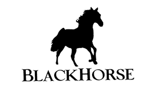 BLACKHORSE logo