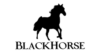 BLACKHORSE logo