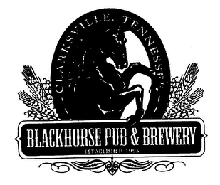 BLACKHORSE PUB & BREWERY CLARKSVILLE, TN logo