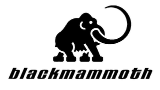 BLACKMAMMOTH logo
