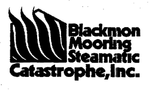 BLACKMON MOORING STEAMATIC CATASTROPHE, INC. logo