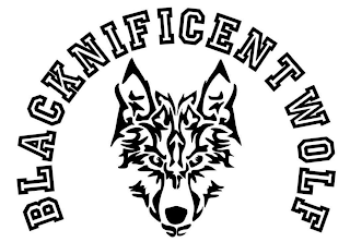BLACKNIFICENTWOLF logo