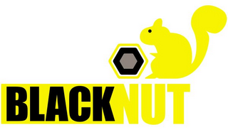 BLACKNUT logo