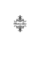 BLACKOUT GEAR logo