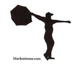 BLACKRAINUSA.COM logo