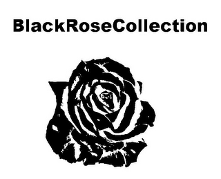 BLACKROSECOLLECTION logo