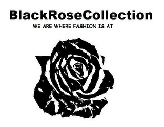 BLACKROSECOLLECTION WHERE FASHION IS AT logo